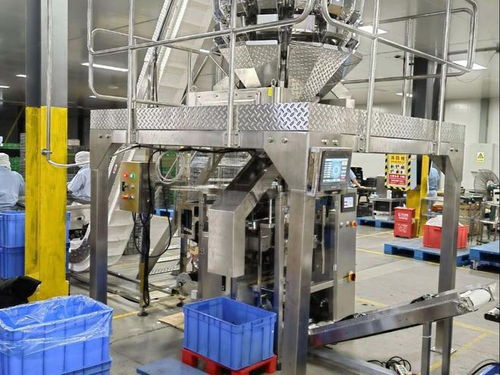 全自动膨化食品包装设备品牌推荐 赋能虾条、薯片、虾片、锅巴高效生产